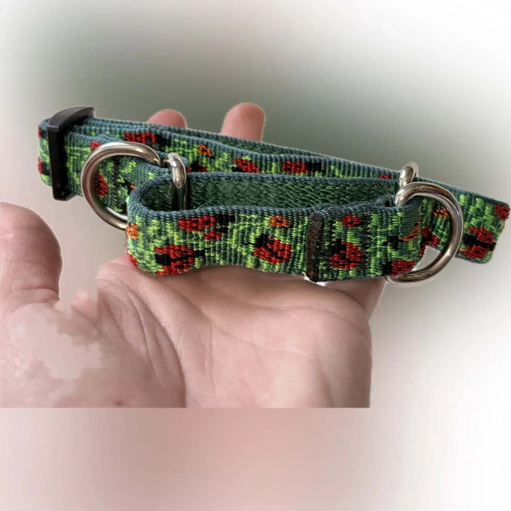 LUPINE PET BEETLEMANIA MARTINGALE COLLAR - Picture 1 of 4